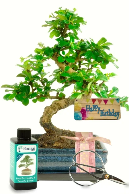 Unusual gifts for women to surprise & delight