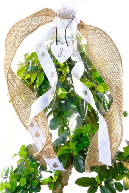 Gift Wrap - Mr & Mrs Wedding