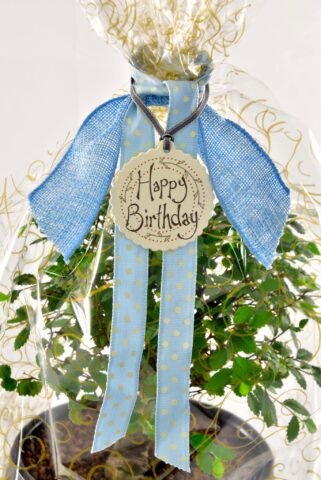 Happy Birthday Blue Gift Wrap