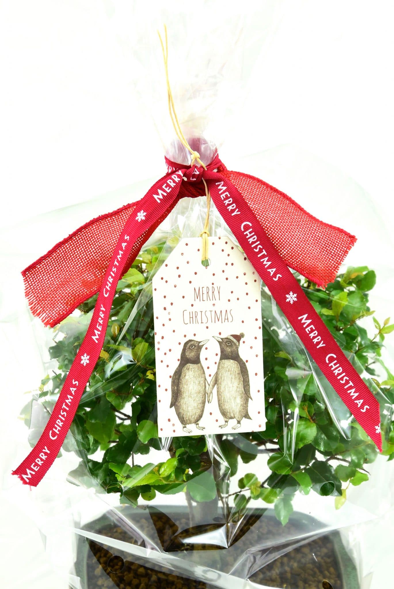 Festive Christmas Gift Wrap