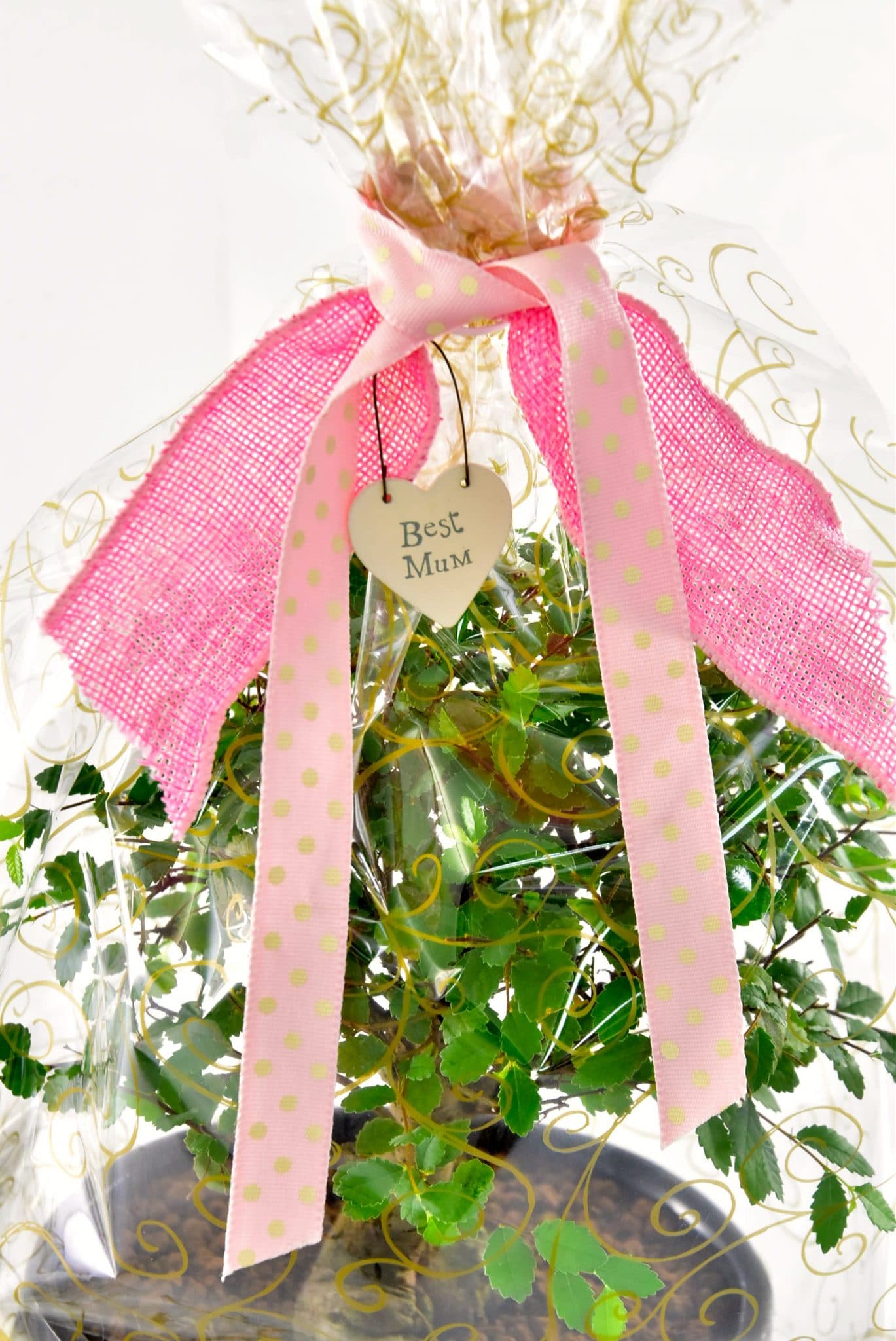 Best Mum Gift Wrap