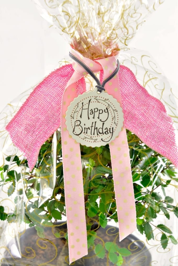 Pink Happy Birthday Gift Wrap