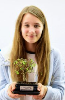 "My First Bonsai Tree"