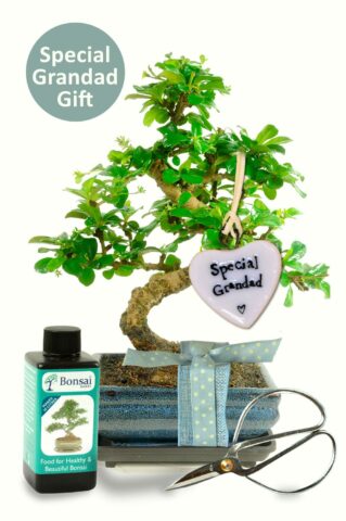 Personalised gift for grandparents - Nan, grandad, granny, grandpa