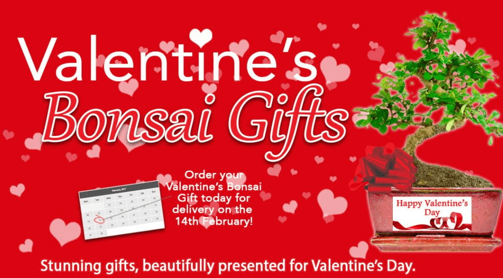 Valentine's Day bonsai gifts