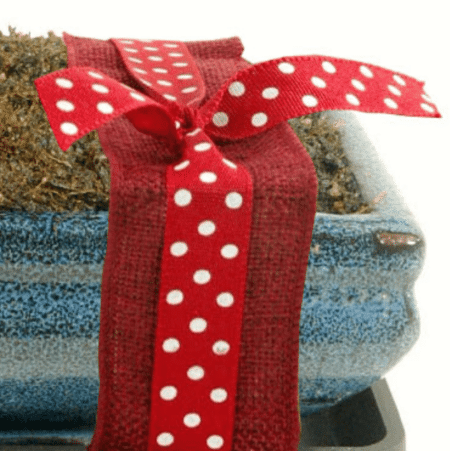 Red jute and red spotty ribbon