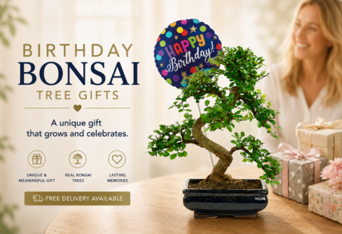 Birthday Bonsai Tree Gifts for sale | Grown by the professionals