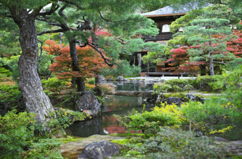 Penjing Garden