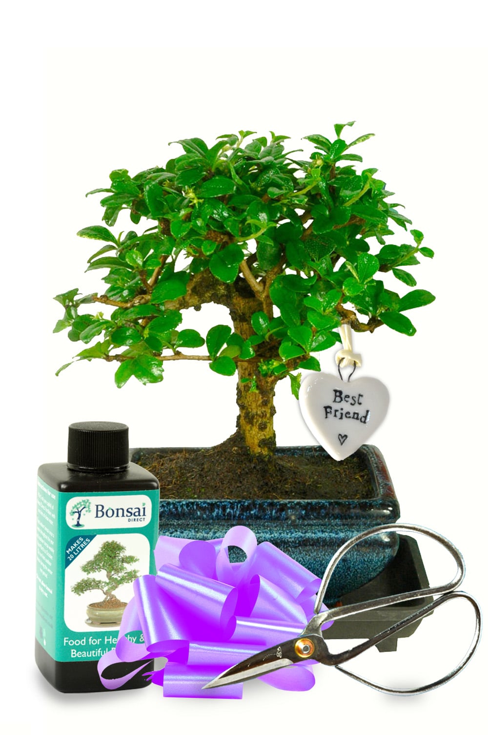 Beautiful & Inspired Plant Gift - Best Friends