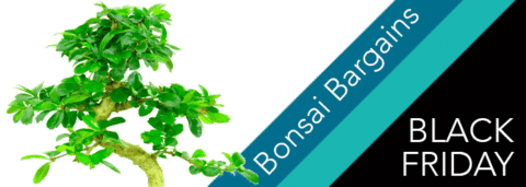 Black Friday event 2019