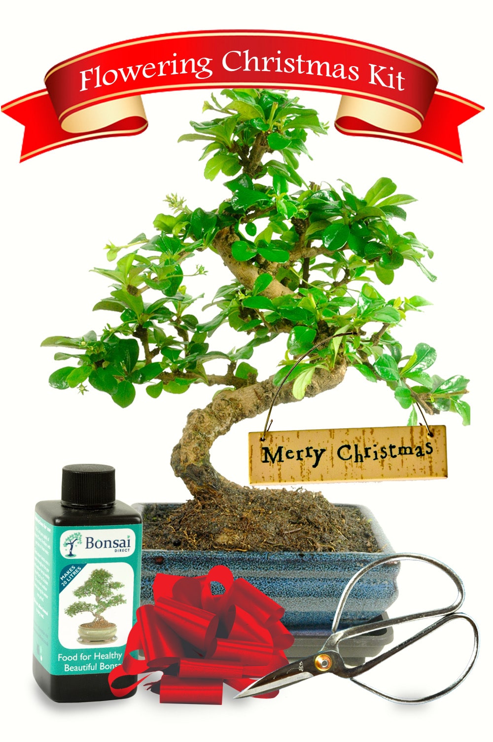 Christmas Bonsai Tree Gifts Beautiful & environmental gifts