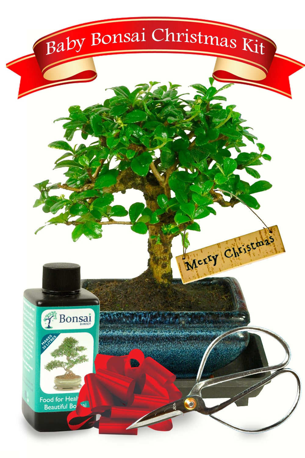 Christmas Bonsai Tree Gifts Beautiful & environmental gifts