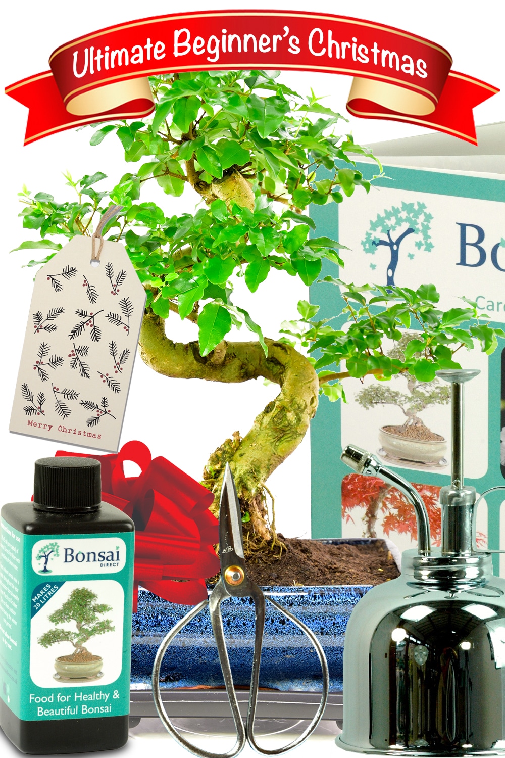Christmas Bonsai Tree Gifts Beautiful & environmental gifts