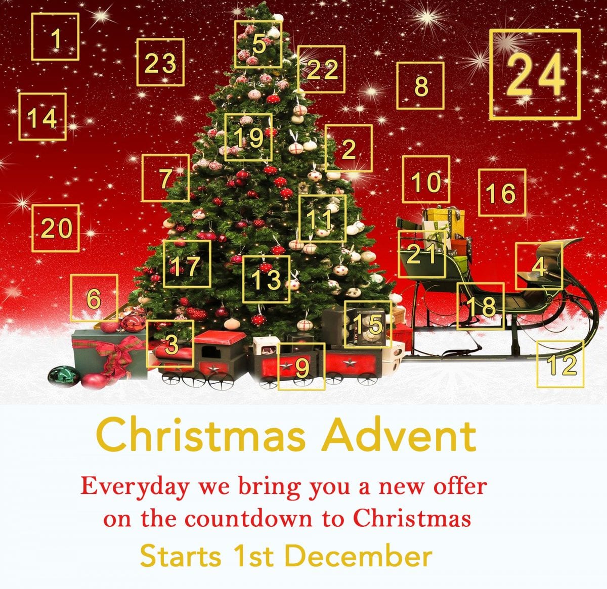Bonsai Direct Christmas advent Offers coming ...