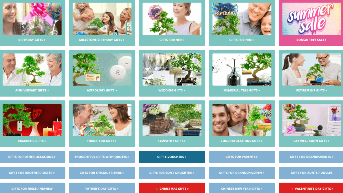 Bonsai tree gifts