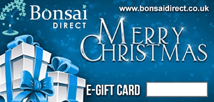 Merry Christmas - Bonsai Direct vouchers