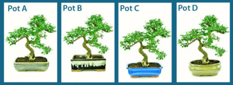 Different pots create different visuals