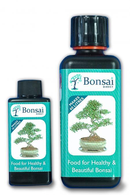 Liquid Bonsai Fertiliser: Perfect weekly feed for indoor & outdoor bonsai trees.