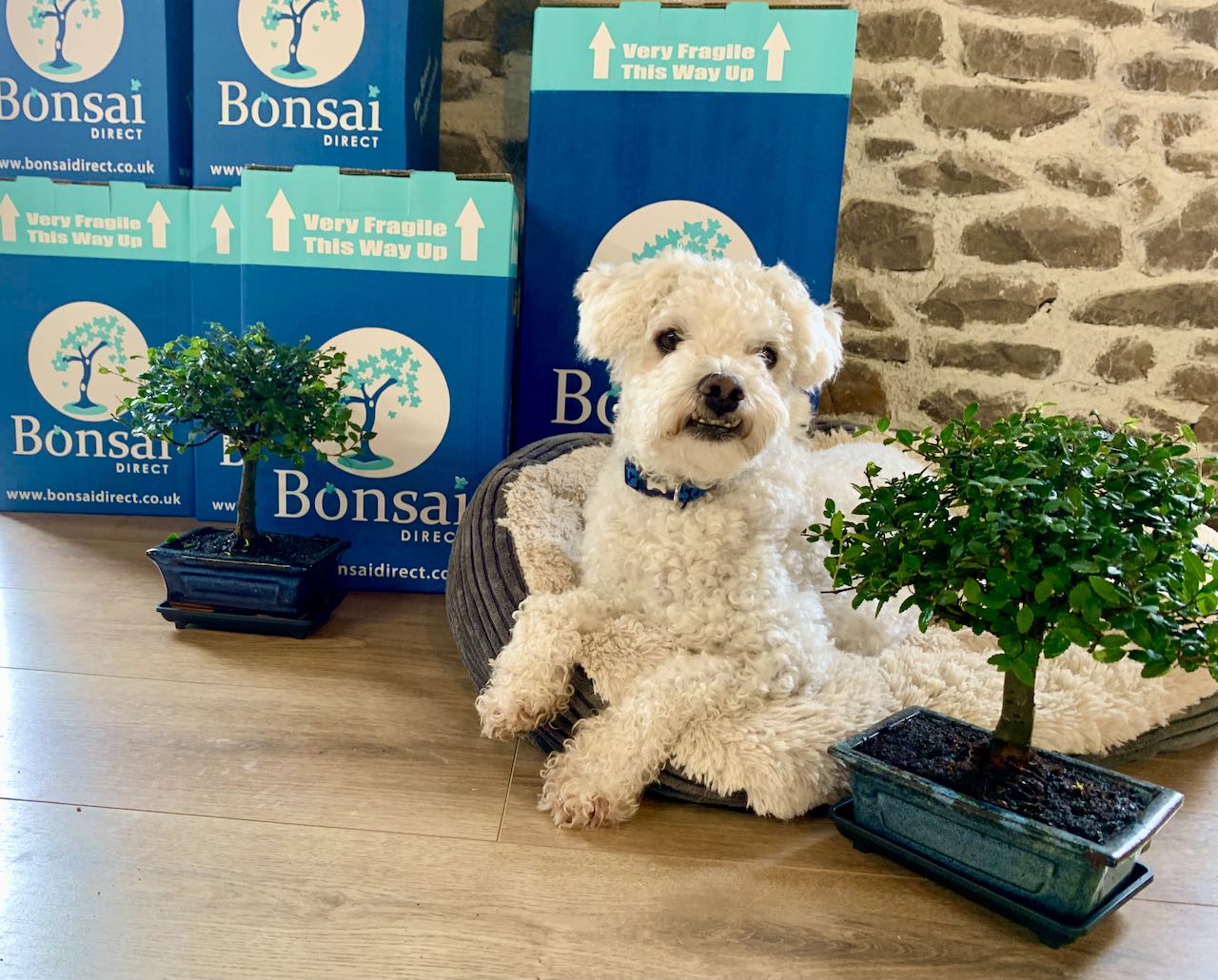 A cheeky shot with Pogo the pup