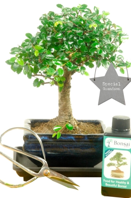 Fun and trendy gift for your grandson