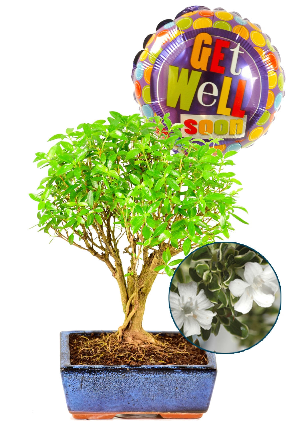 Tree of good health and well-being