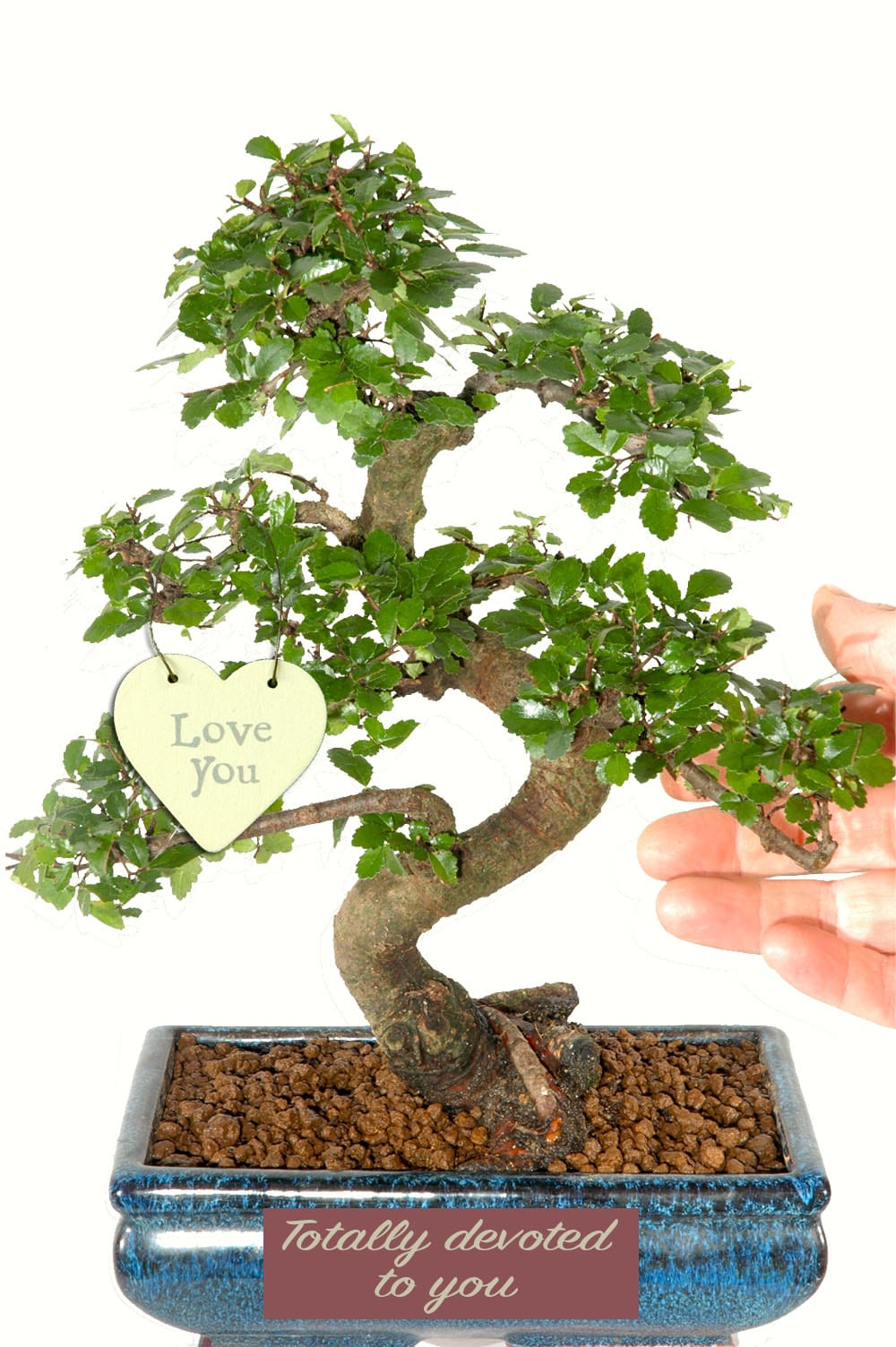 Totally devoted to you