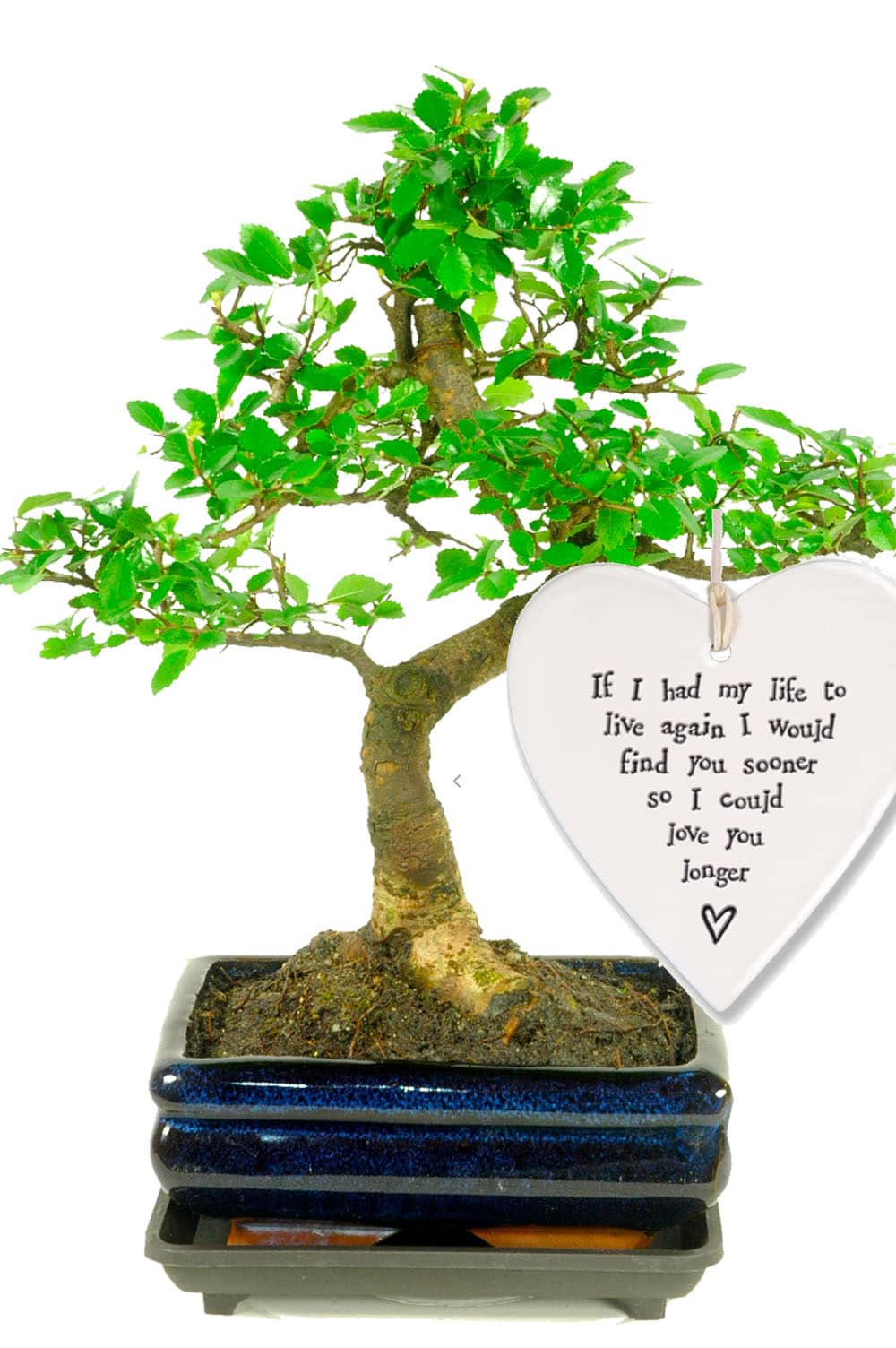 If I had my life to live again, I would find you sooner so I could love you longer