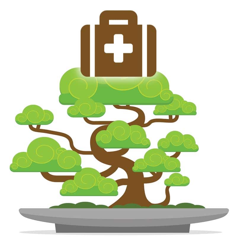 Trouble shoot bonsai