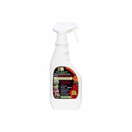 Plant invigorator suitable for bonsai species