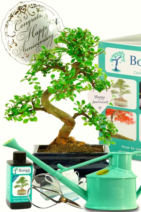 Wedding Anniversary Gifts – The Perfect & Unusual Gift Idea