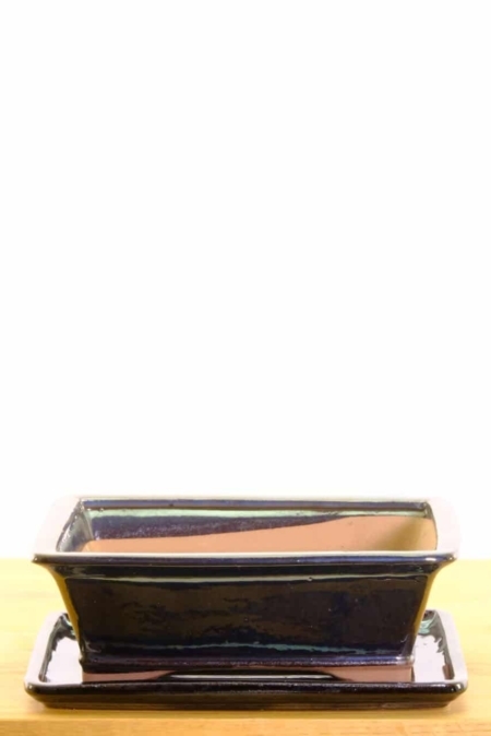 Stunning black ceramic pot for indoor gardening