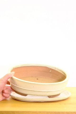 Cream oval ceramic bonsai pot, perfect for indoor gardening