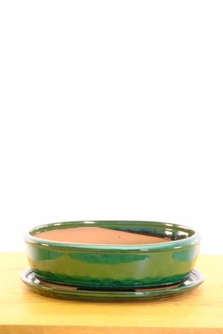 Ceramic bonsai pot for sale UK