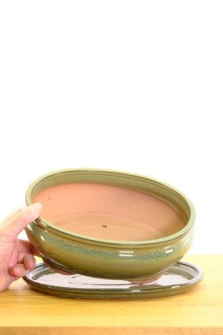 Indoor ceramic pot for bonsai trees UK