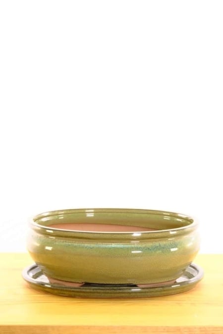 Ceramic pot, perfect for indoor gardening