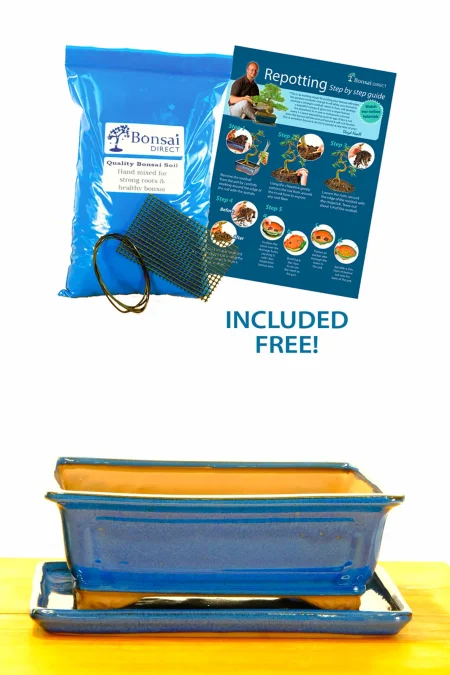 27cm Rectangular Glazed Blue Ceramic Bonsai Pot with Matching Tray