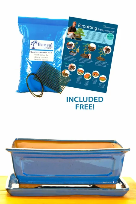 32cm XL Rectangular Glazed Blue Ceramic Bonsai Pot with Matching Tray