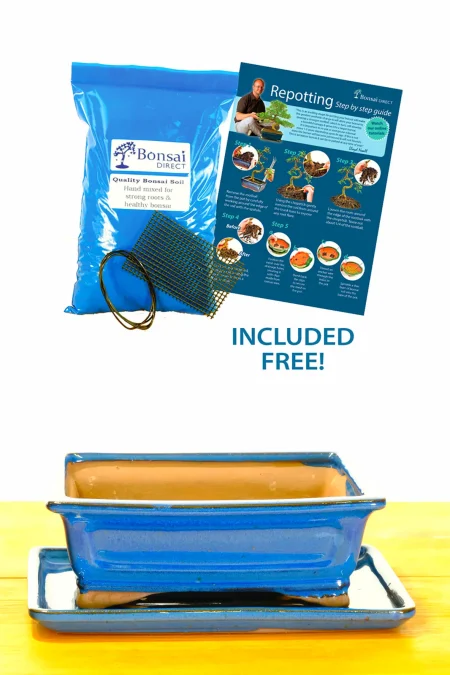 Top quality 20cm blue bonsai pot with matching drip tray