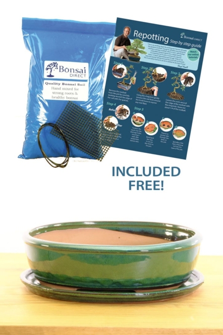 Green ceramic bonsai pot, perfect for repotting bonsai