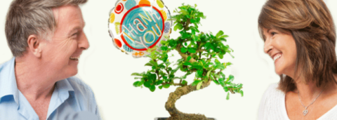 Thank you bonsai tree gifts