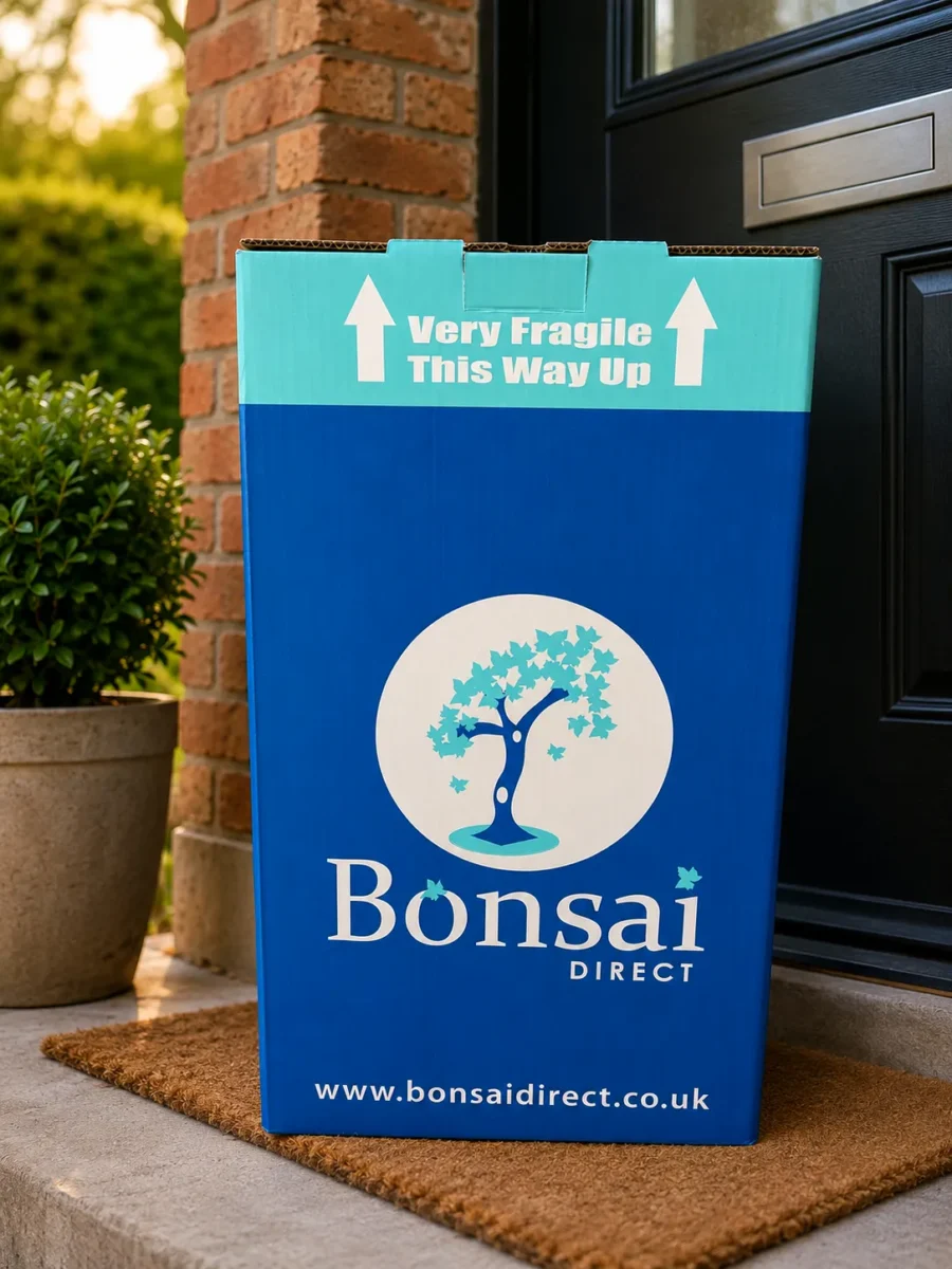 Bonsai Direct Packaging and Delivery