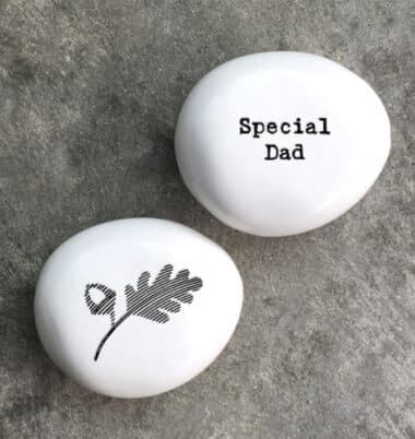 Special Dad pebble