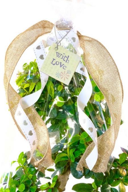 Gift Wrap - With Love Daisy