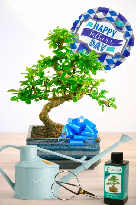 Last-Minute Father’s Day Gifts That Feel Thoughtful, Not Rushed