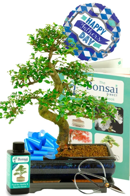 A Personal Father’s Day Gift That Creates a Lasting Experience