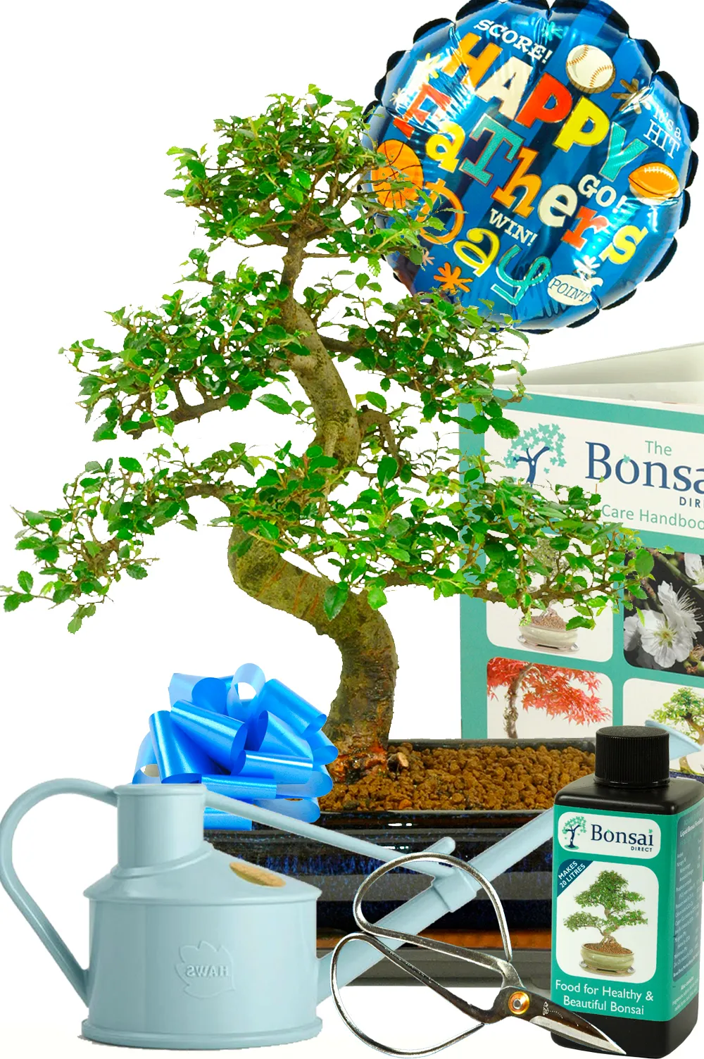 Large Father's day Bonsai Kit - Comprehensive mature starter kit