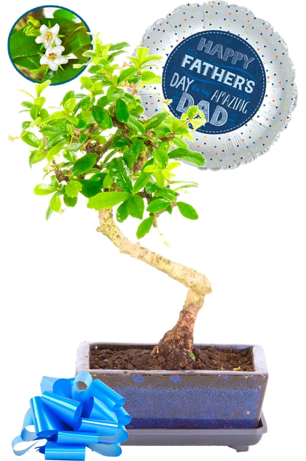 Father's Day Gift - Twisty Flowering S-Shaped Literati-Style Artistic Bonsai Tree
