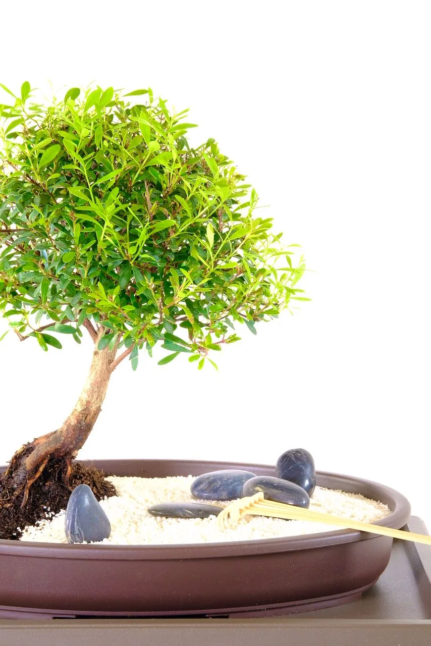 Free delivery to most of the UK