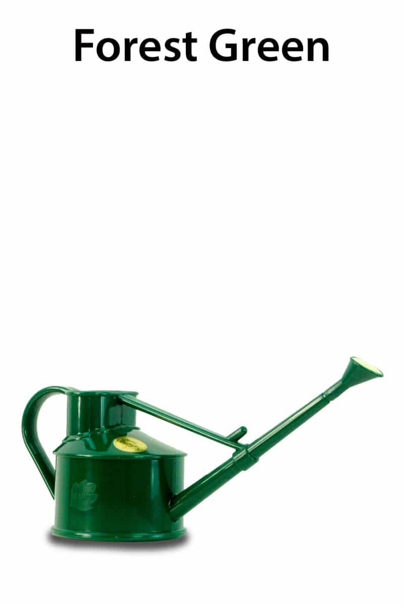 Premium Bonsai Watering Can 0.7L Perfect for watering bonsai trees.