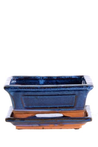 Standard blue ceramic bonsai pot with matching tray